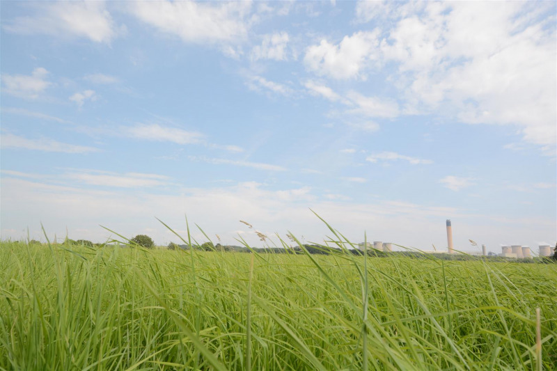 Property photo: Barlow Land view